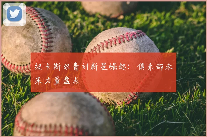 纽卡斯尔青训新星崛起：俱乐部未来力量盘点